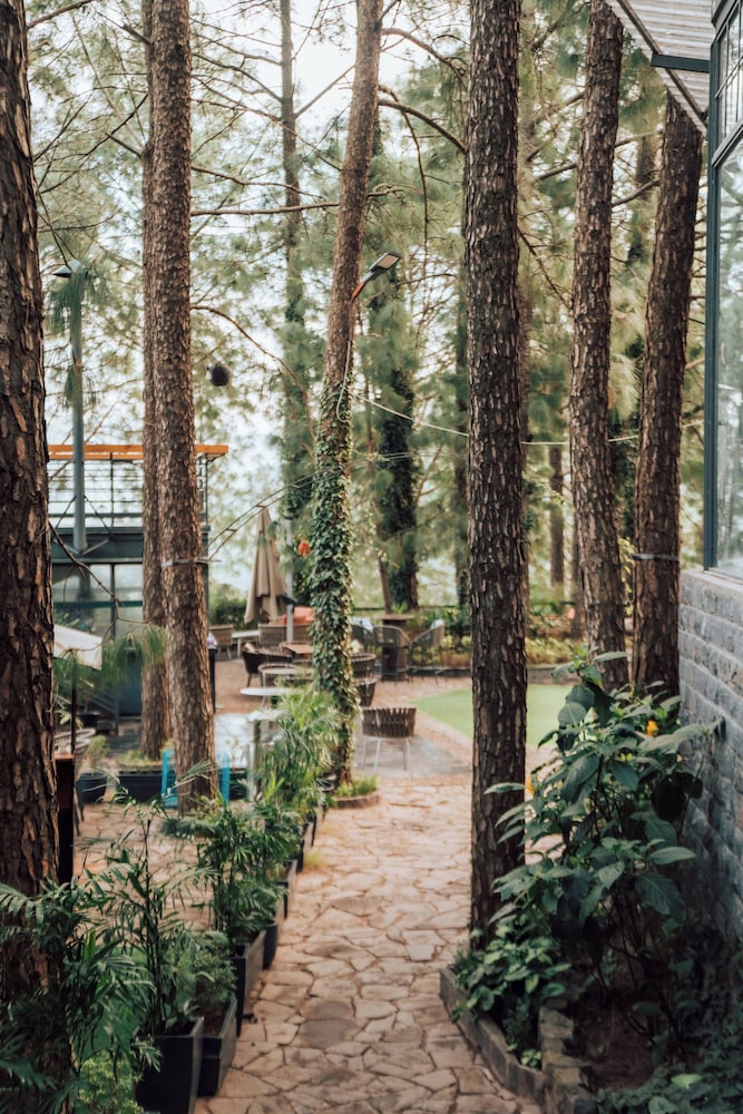 UNA Comfort Kasauli Hills Resorts 47/50