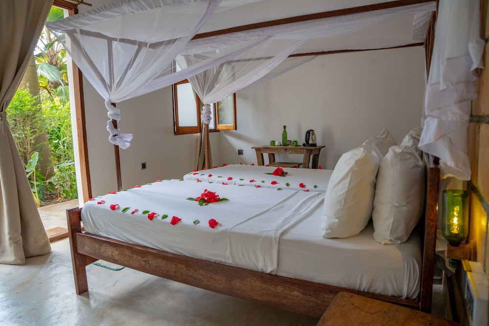 Aluna Beach Lodge 15/50