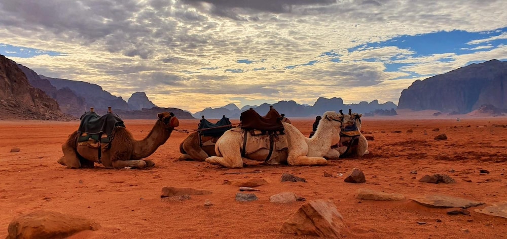 Memories Aicha Luxury Camp 38/48