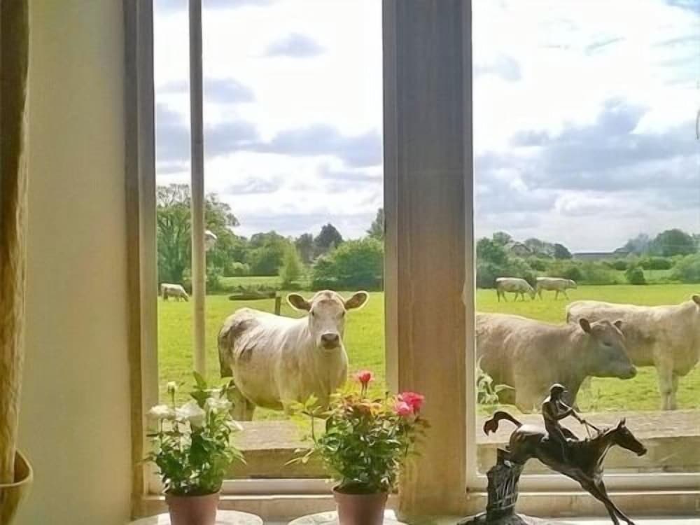 Stable Cottage - Battens Farm 21/25