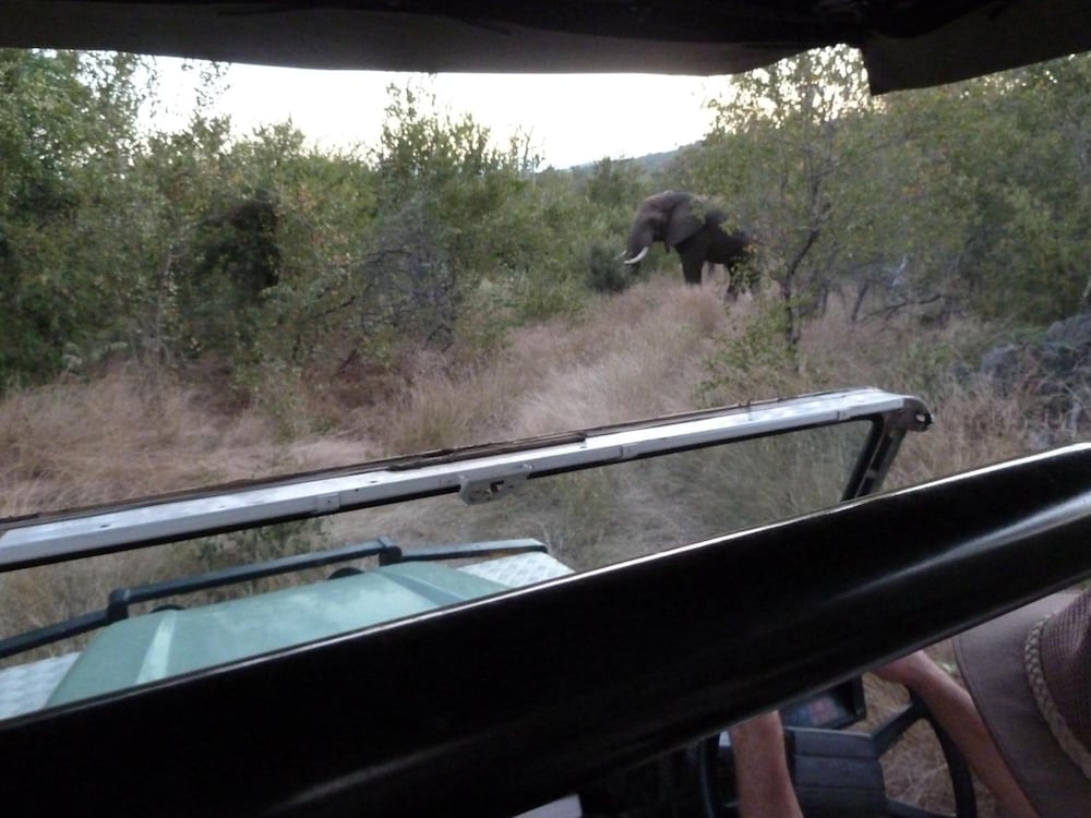 Muweti Bush Lodge 28/46