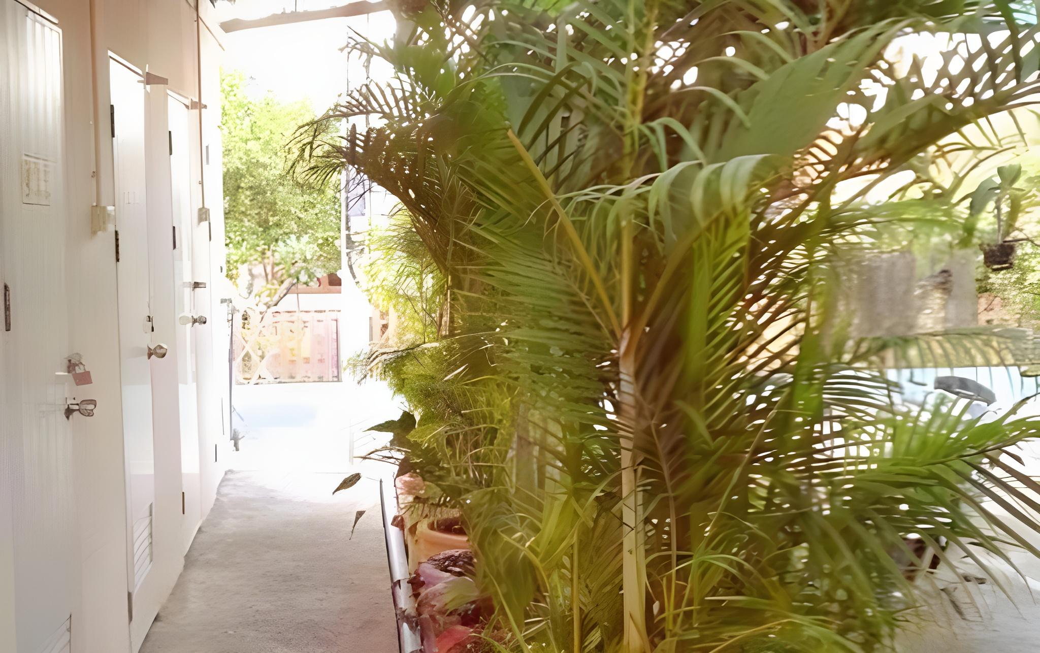 My Home Guest House 55/58