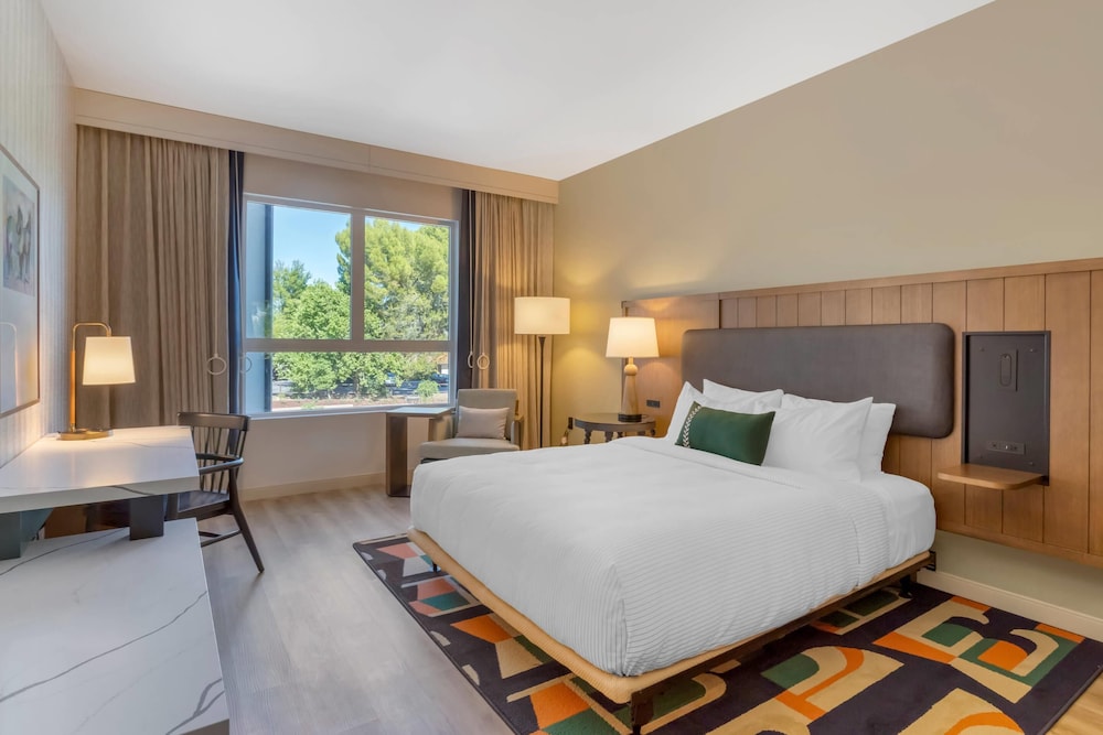 Room, King Bed, Accessible