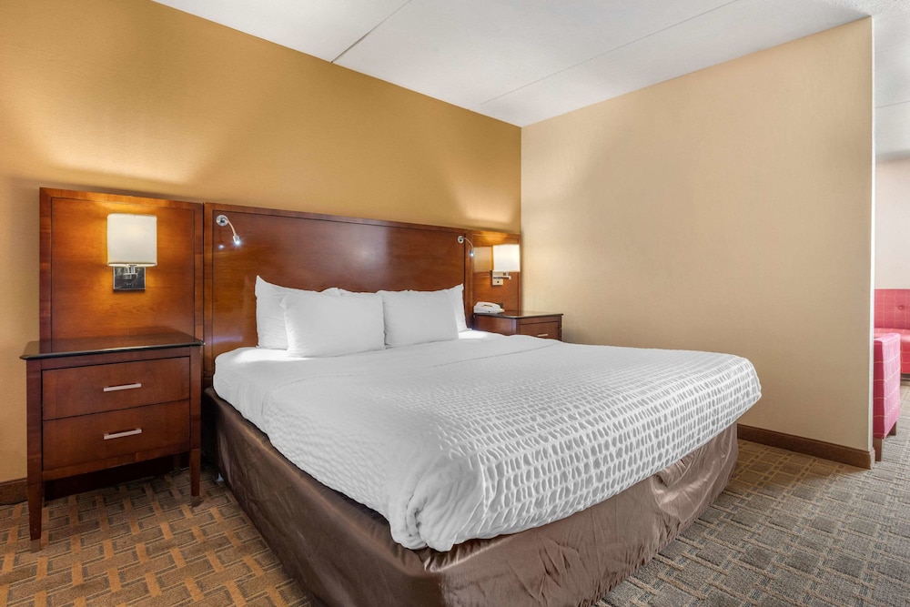 Upgrade, King Bed