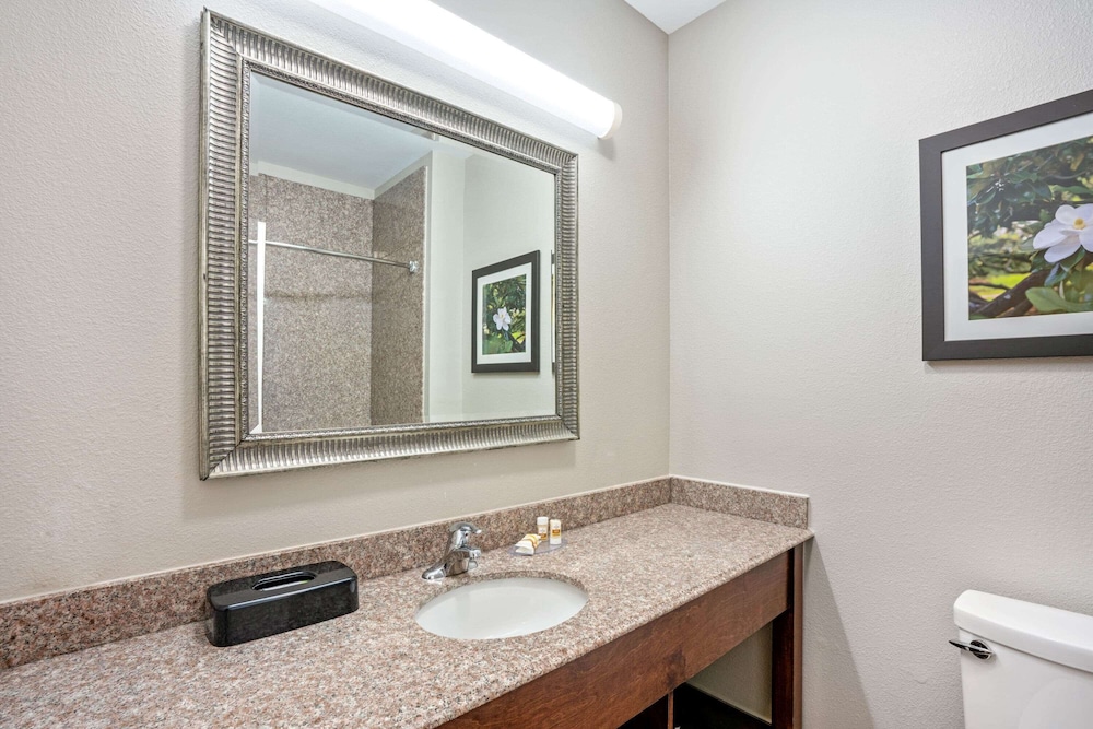 La Quinta Inn & Suites by Wyndham Houston - Magnolia 22/48
