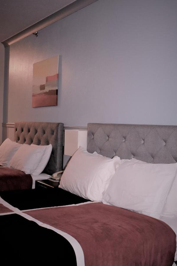 Elite Hotel Downtown Center, Ski & Northern light Tour 10/34
