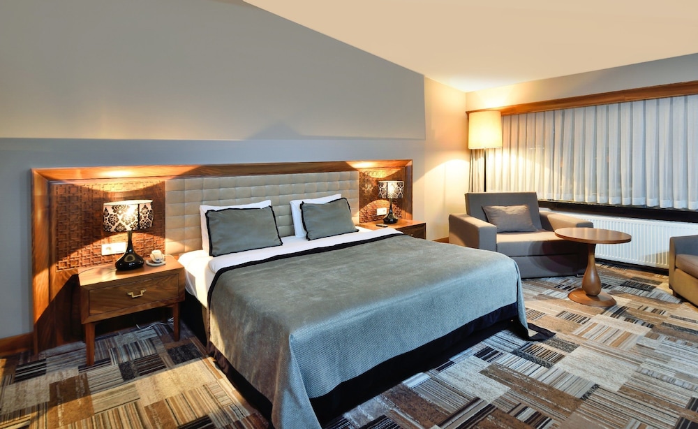 Tiara Termal Spa Hotel 9/77