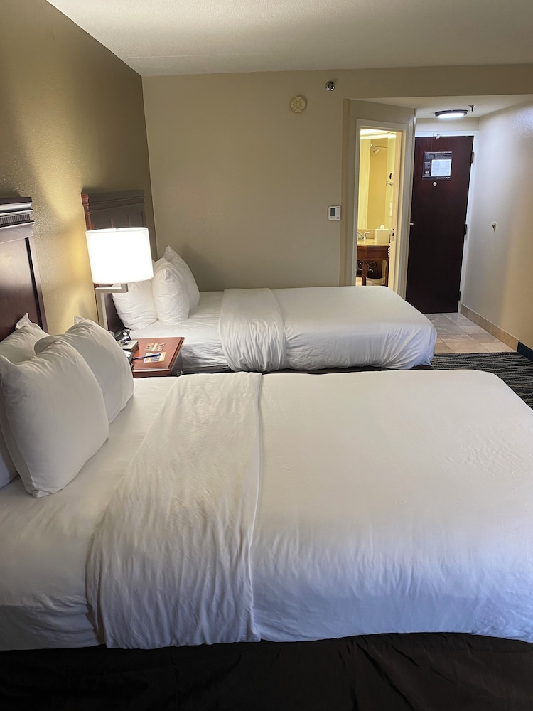 Comfort Inn Suites Newark Wilmington 28/65