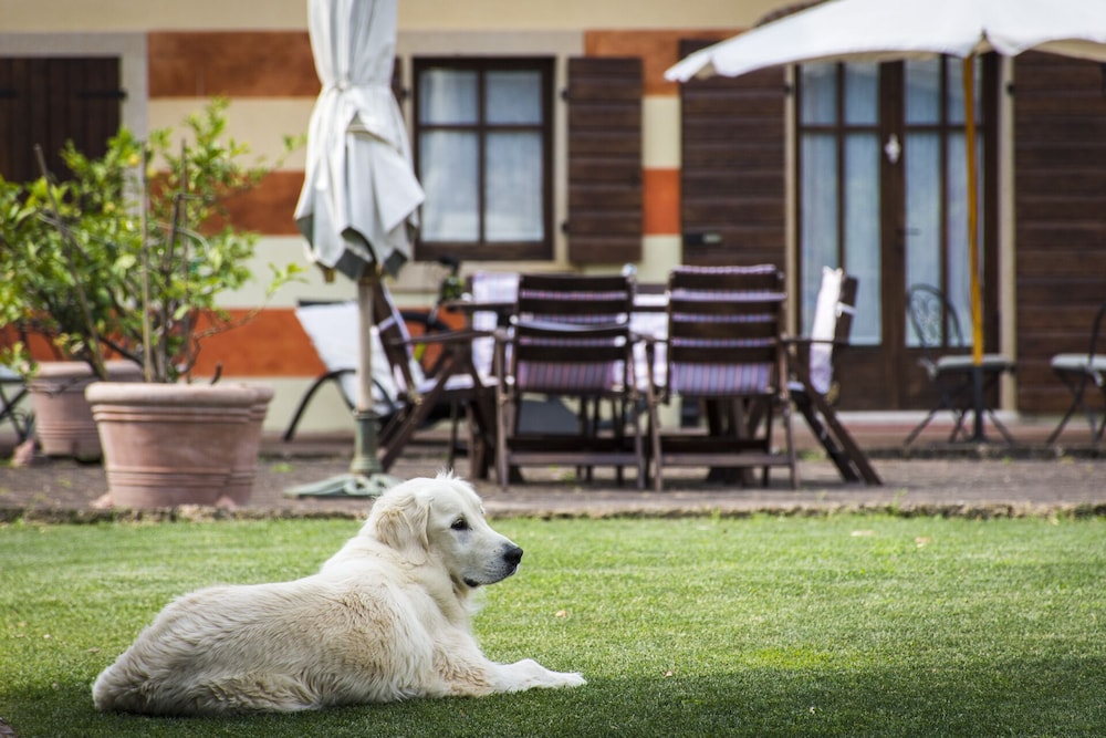 Musella Winery Relais 56/81