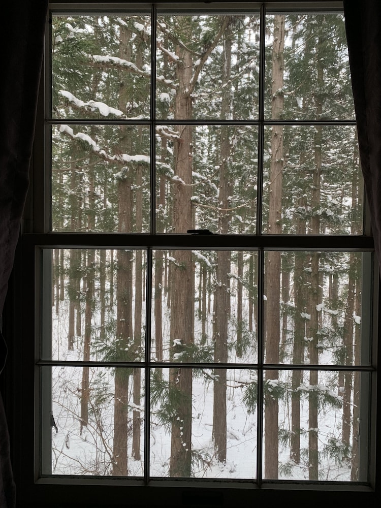 Wadano Forest Hotel 33/50