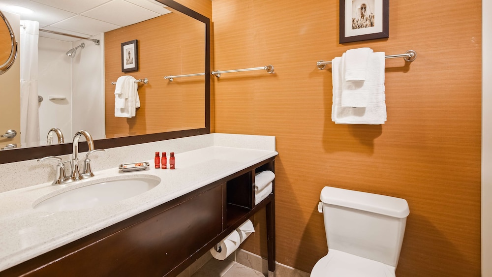 Best Western Premier The Central Hotel & Conference Center 18/48