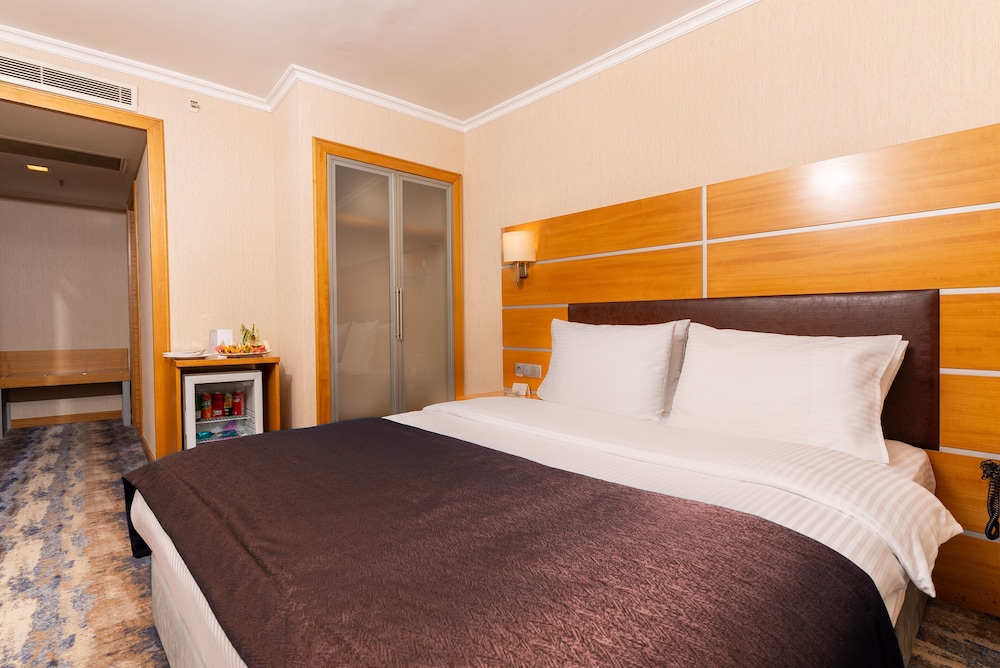 Ankara Plaza Hotel 19/66