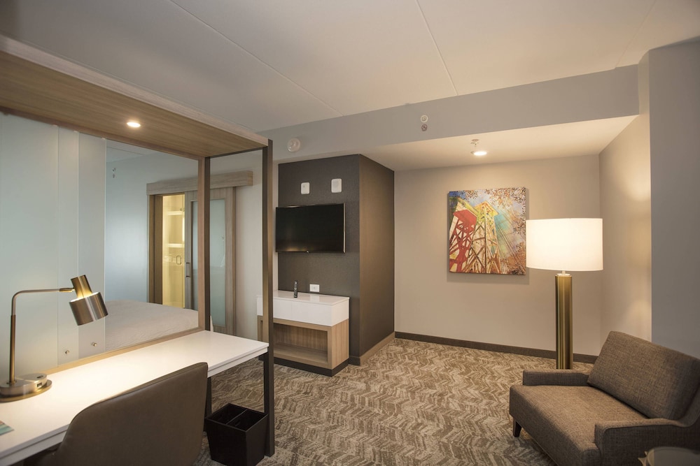 SpringHill Suites by Marriott Athens Downtown/University Area 24/41