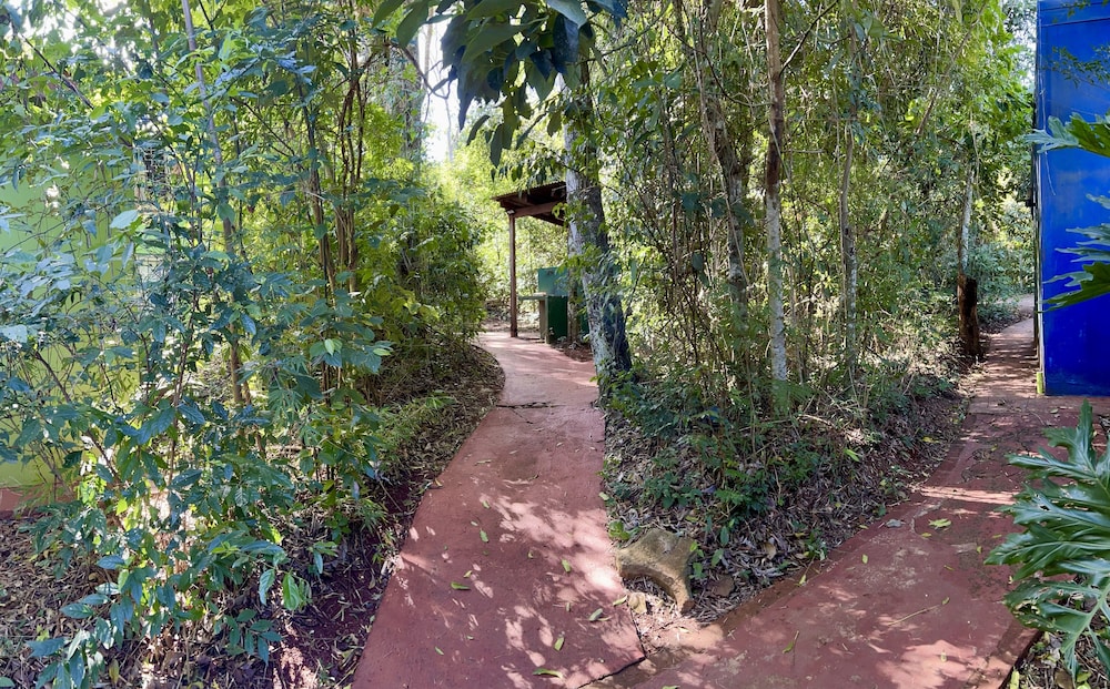 Rainforest de Selva Hotel 58/65
