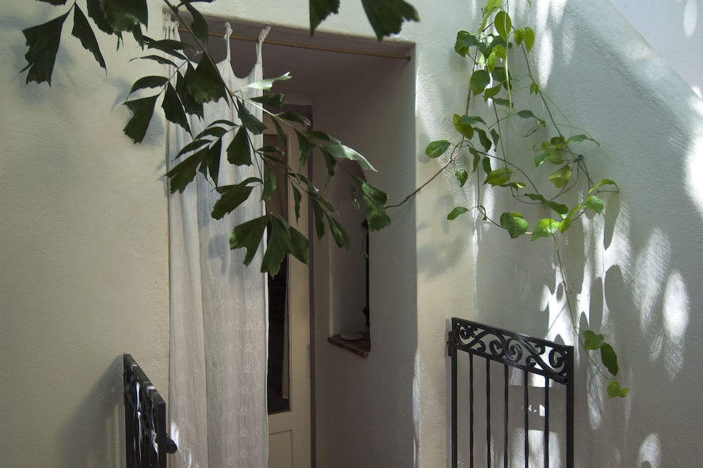 Les Lezards Bed Breakfast 3/63