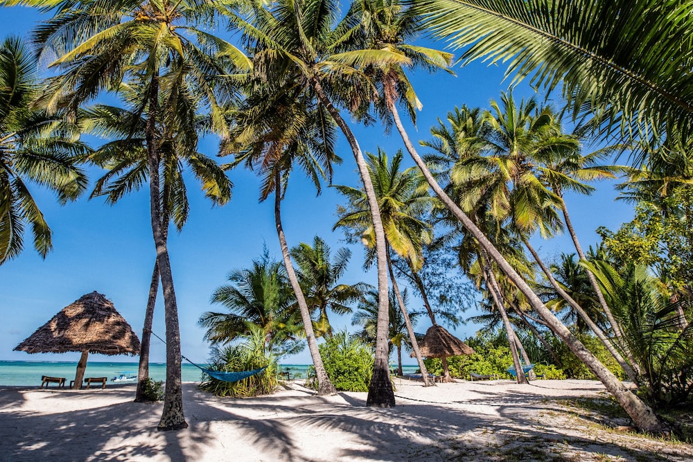 Pongwe Beach Hotel 44/50