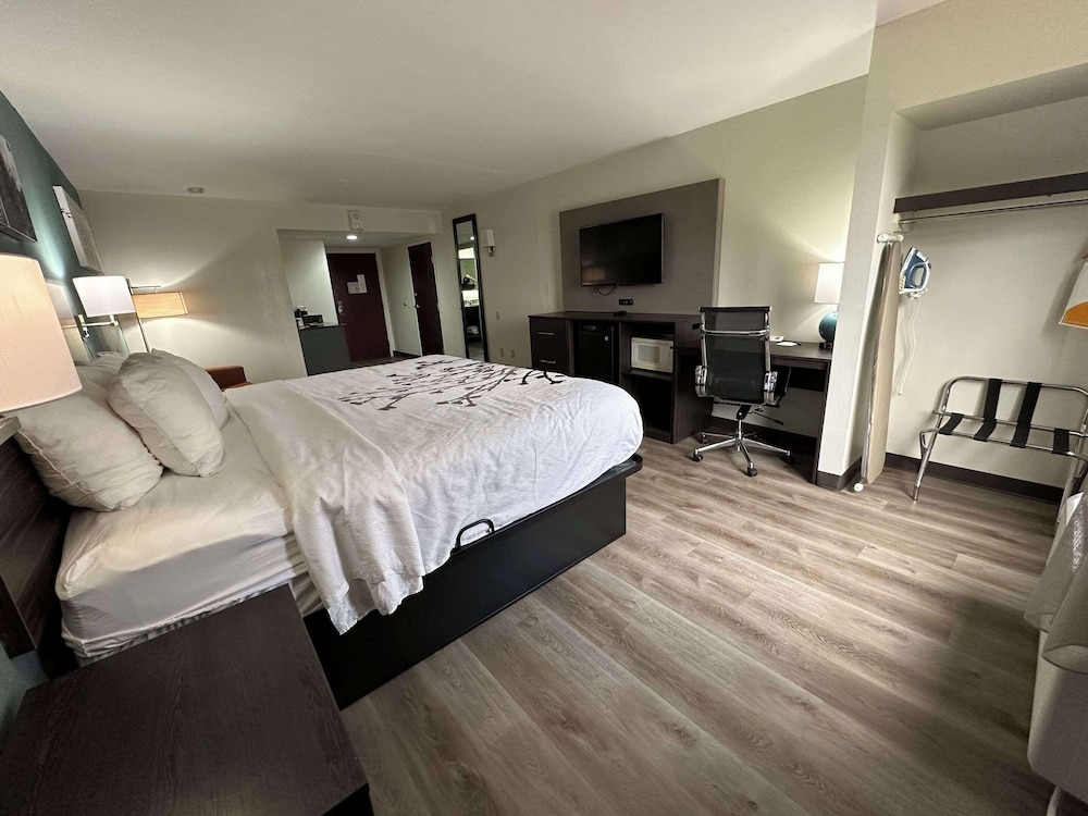 Upgrade, Suite, King Bed, Sofa