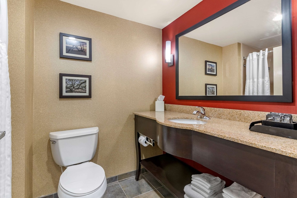 Comfort Suites Florence I-95 9/36