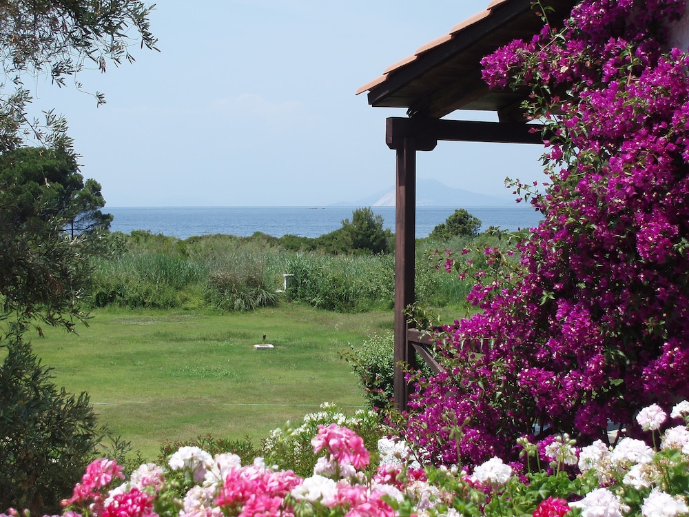 Skiathos Holidays Hotel 44/63