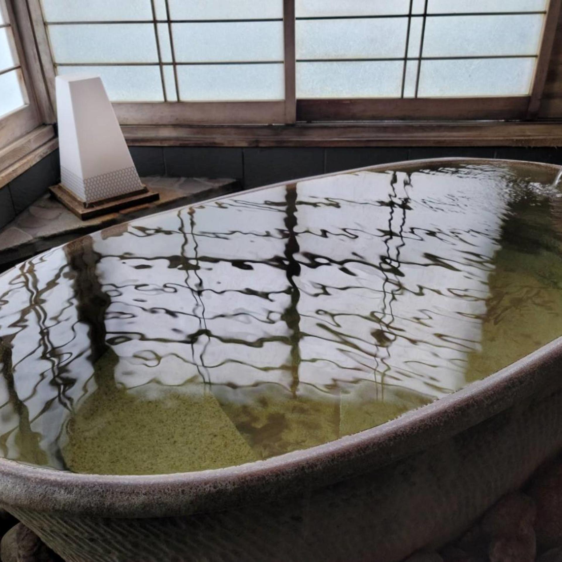 Okutsumagoi Onsen Hanaichi Hoshikawa Ryokan 32/59
