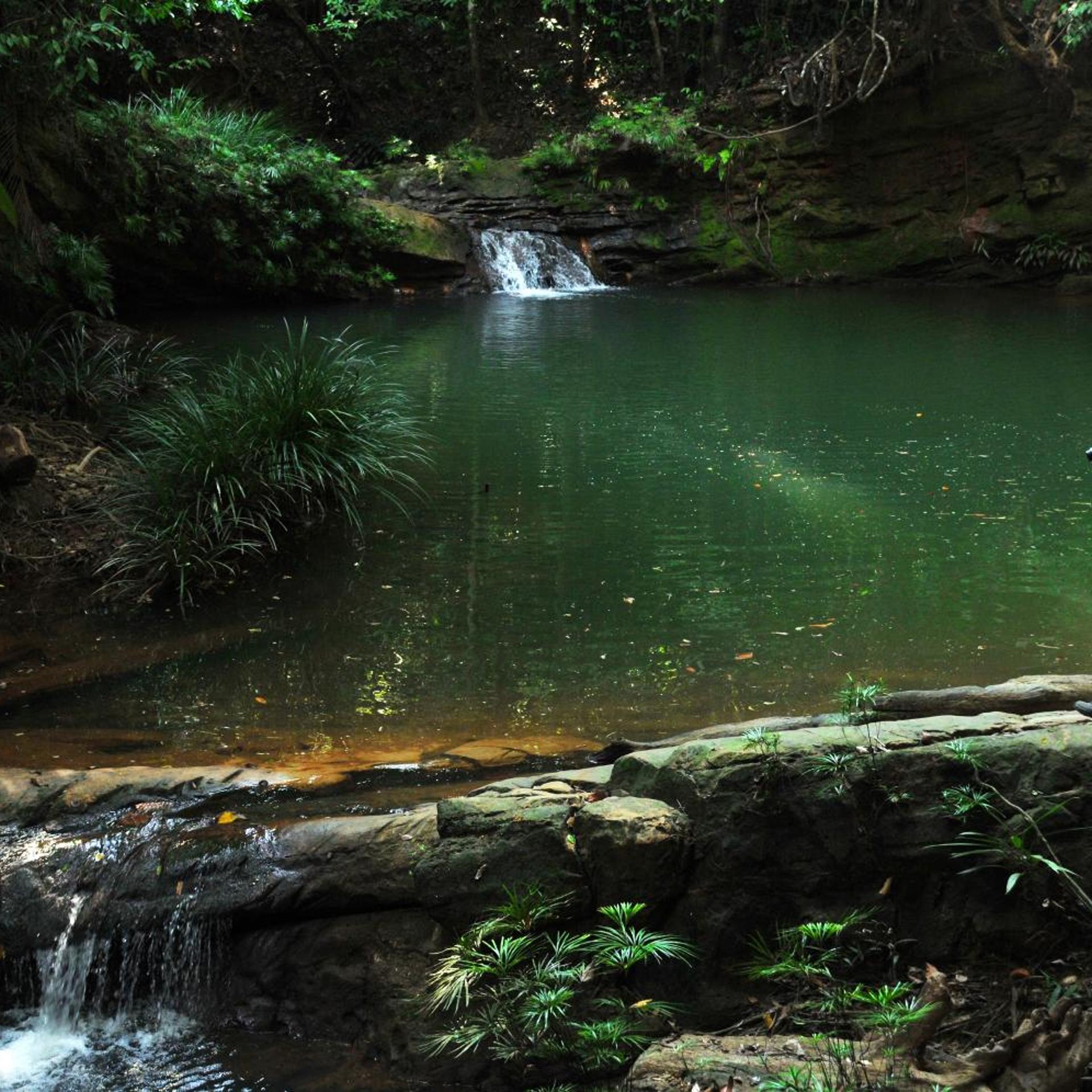 BORNEO TROPICAL RAINFOREST RESORT 49/55