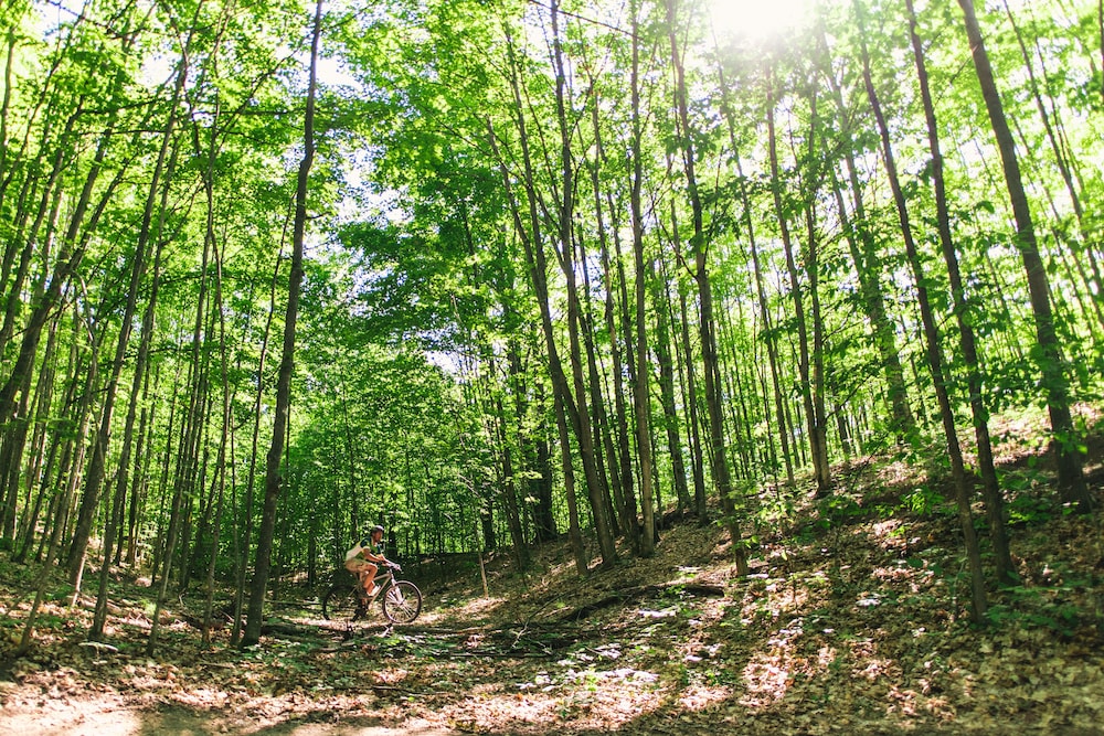 Shanty Creek Resorts - Summit Village 38/50