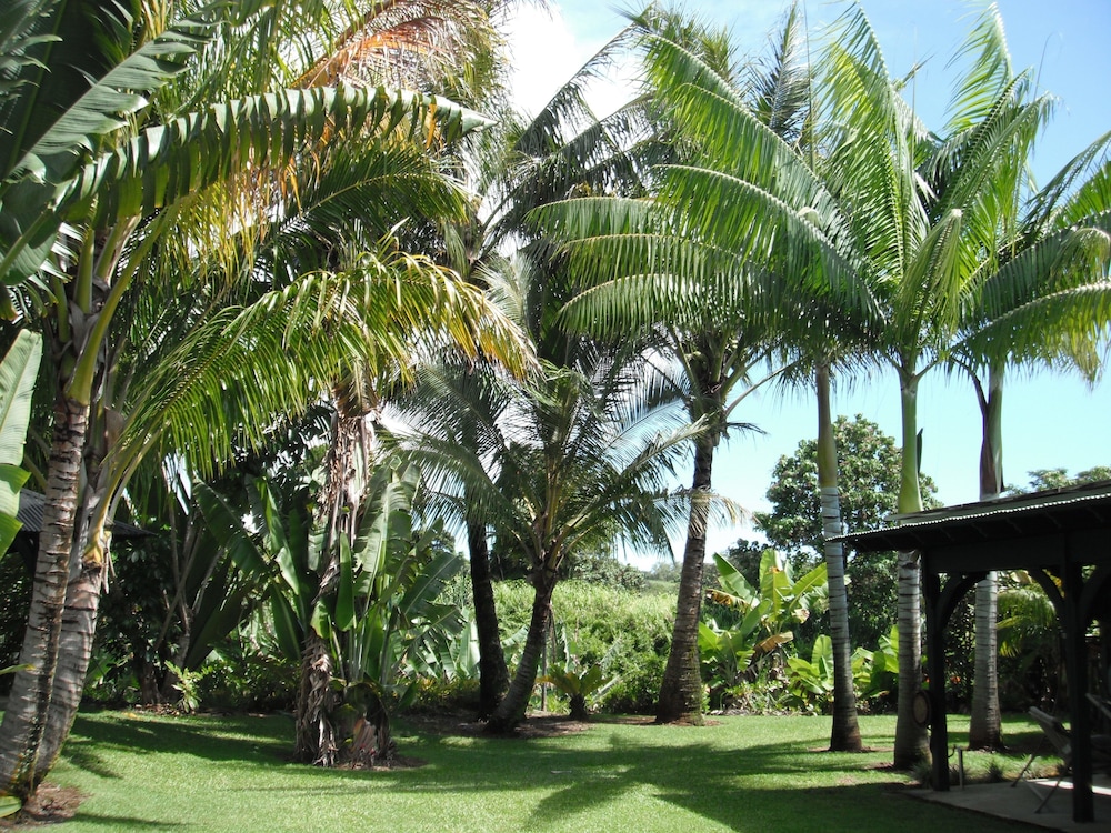 Island Goode's - Luxury Adults Only Accommodation 35/50