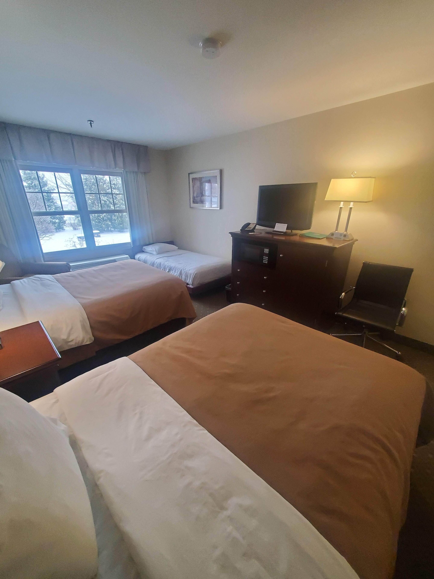 غرفة قياسية بسريرين مزدوجين