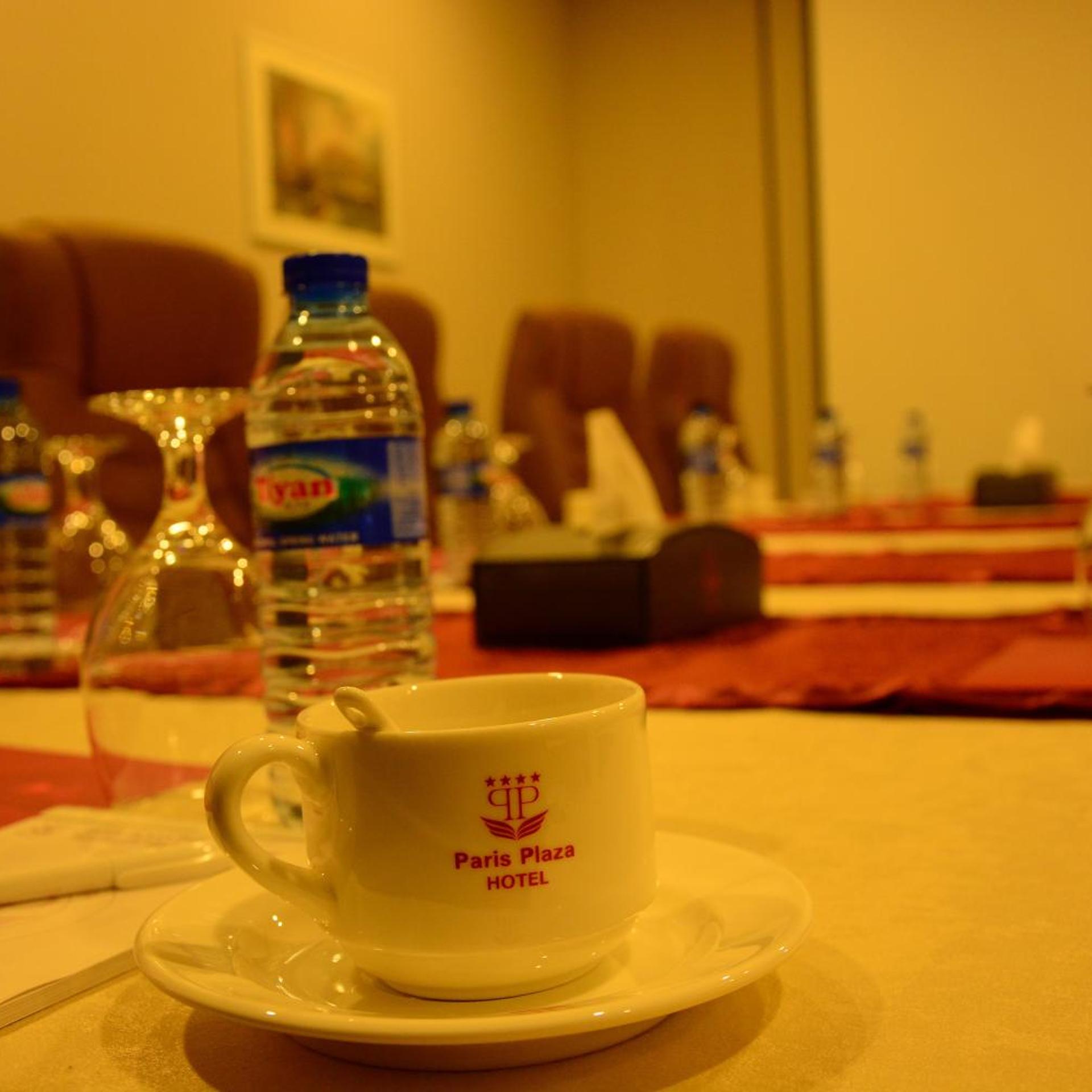 Paris Plaza Hotel 37/62