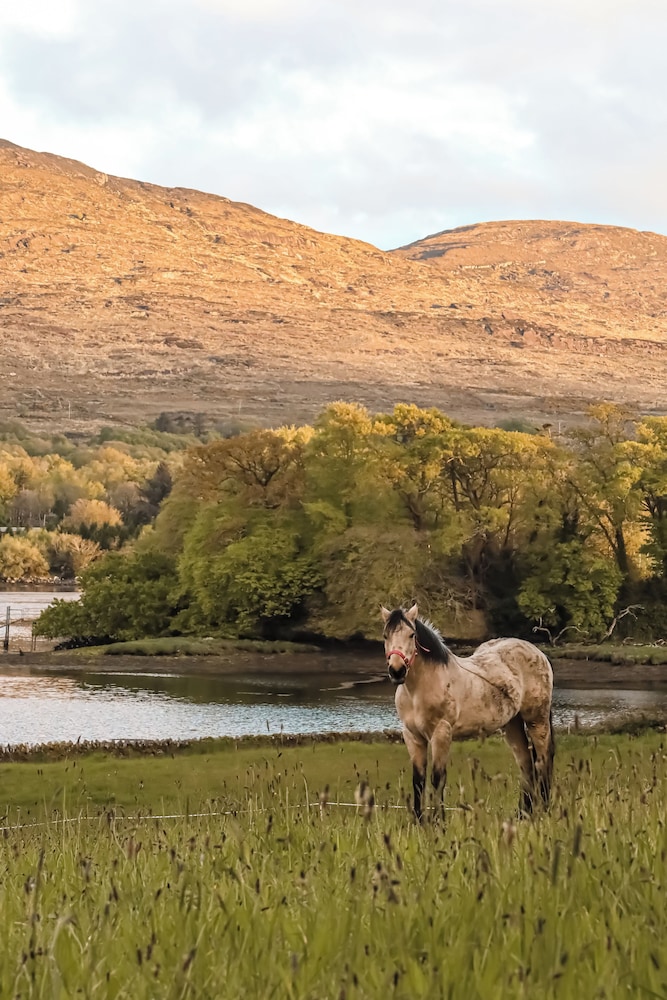 Park Hotel Kenmare 44/49
