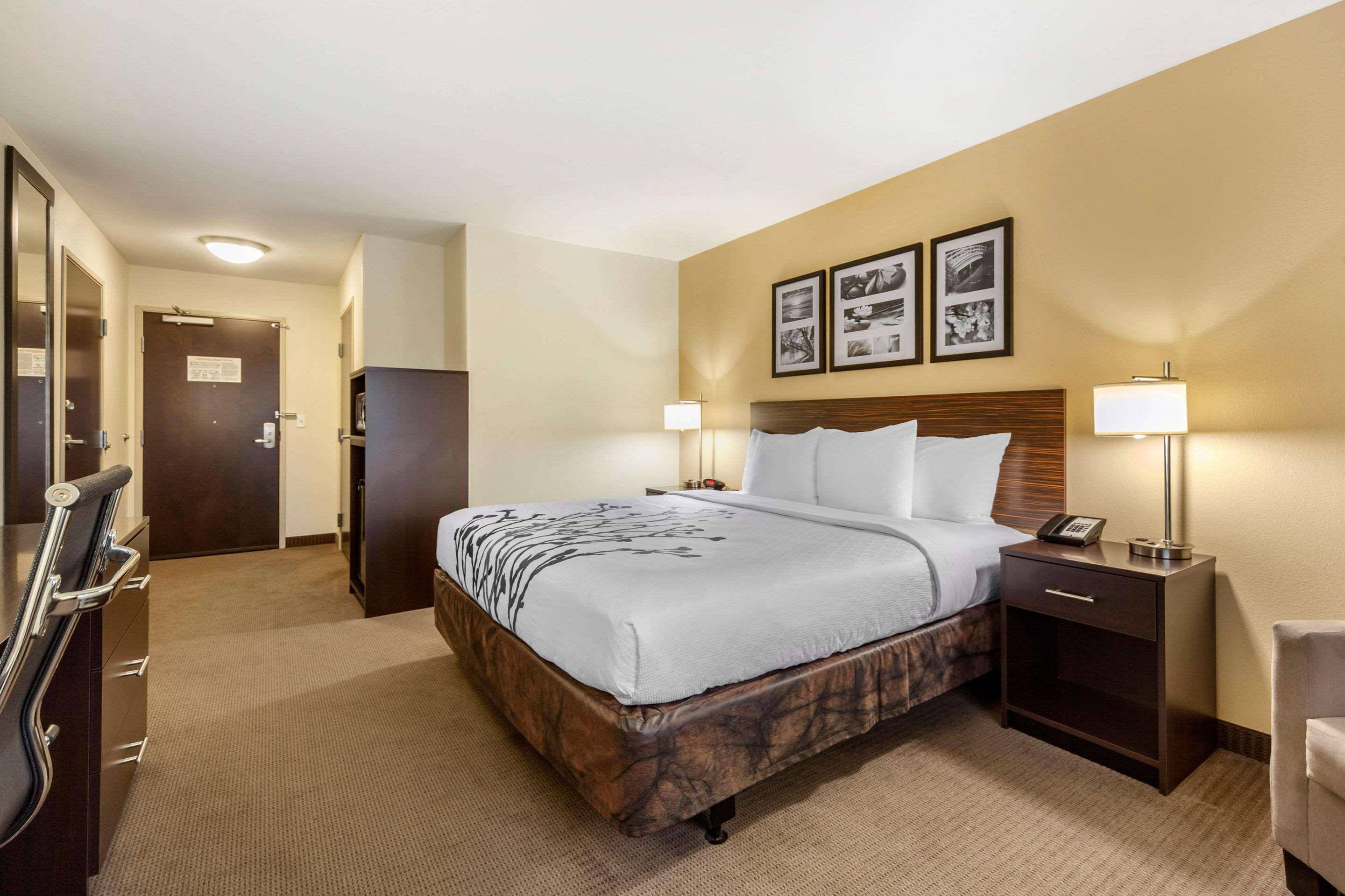 Suite, King Bed