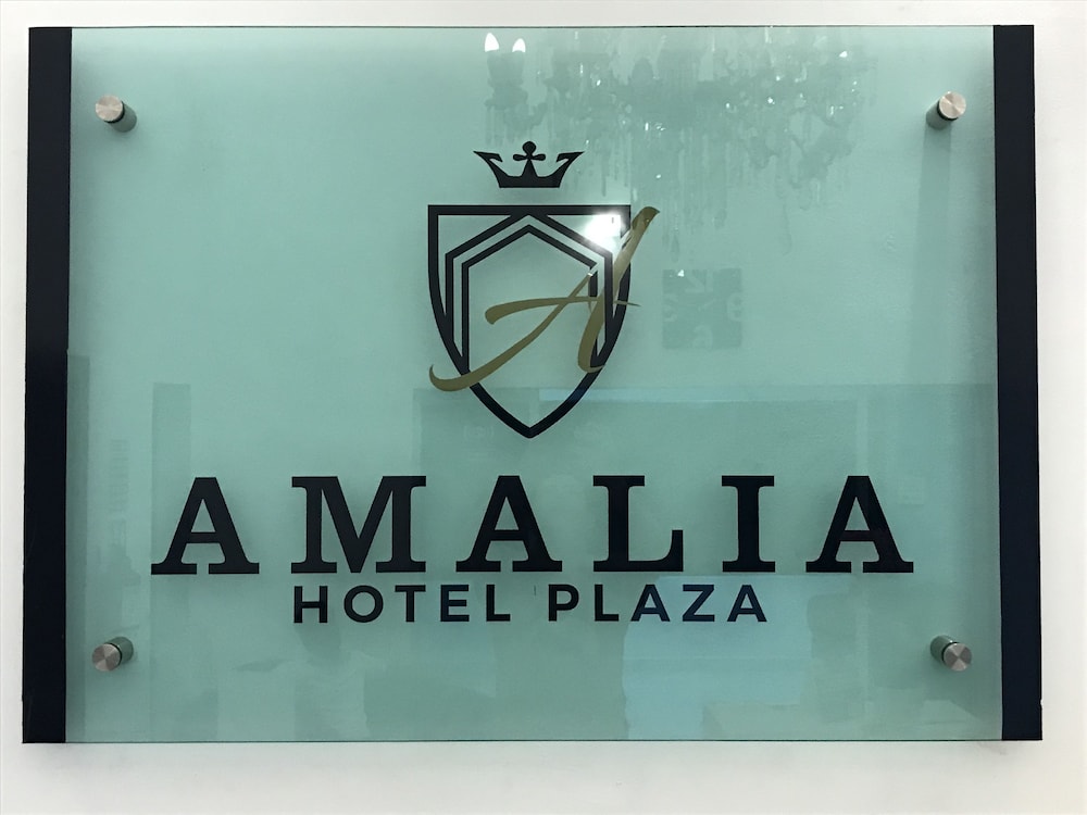 HOTEL PLAZA AMALIA 19/26