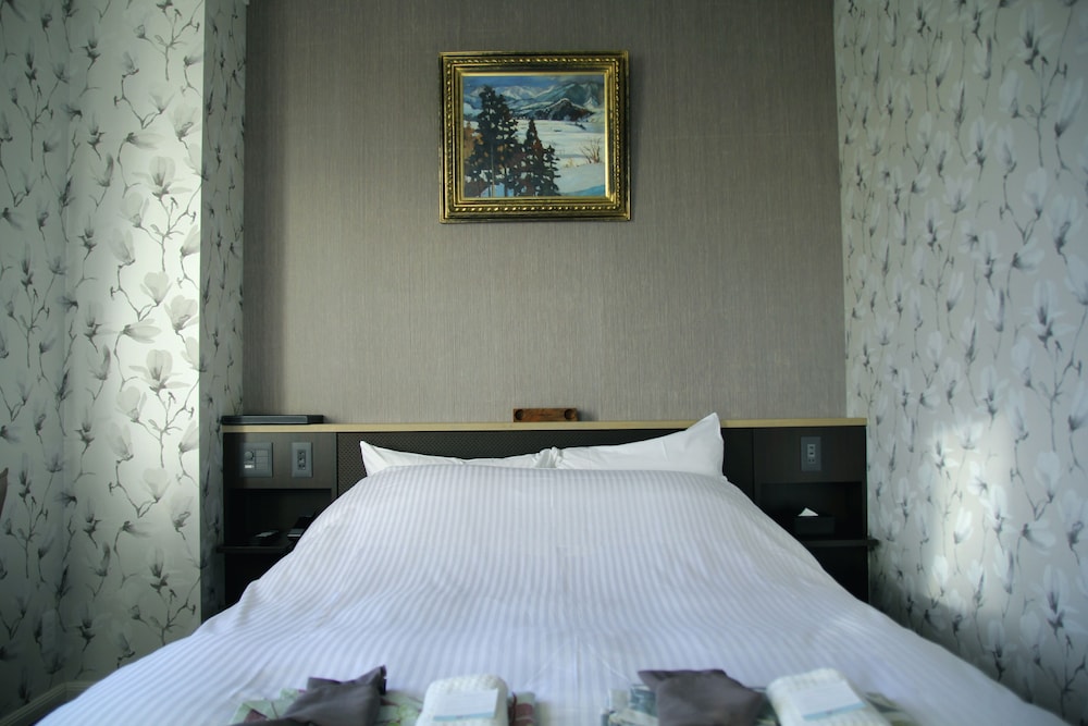 Mizno Hotel 13/50