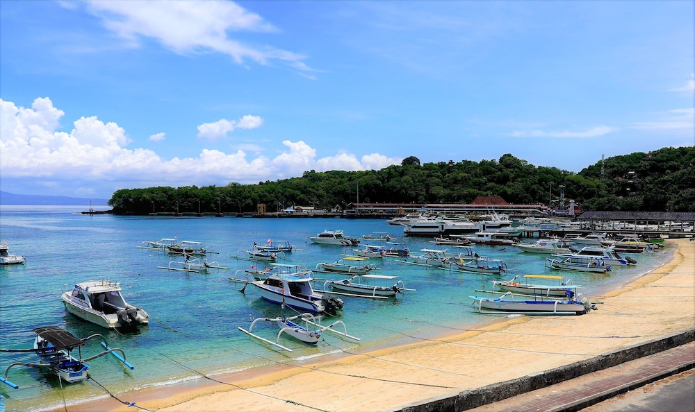Absolute Scuba Bali Dive Resort 41/50