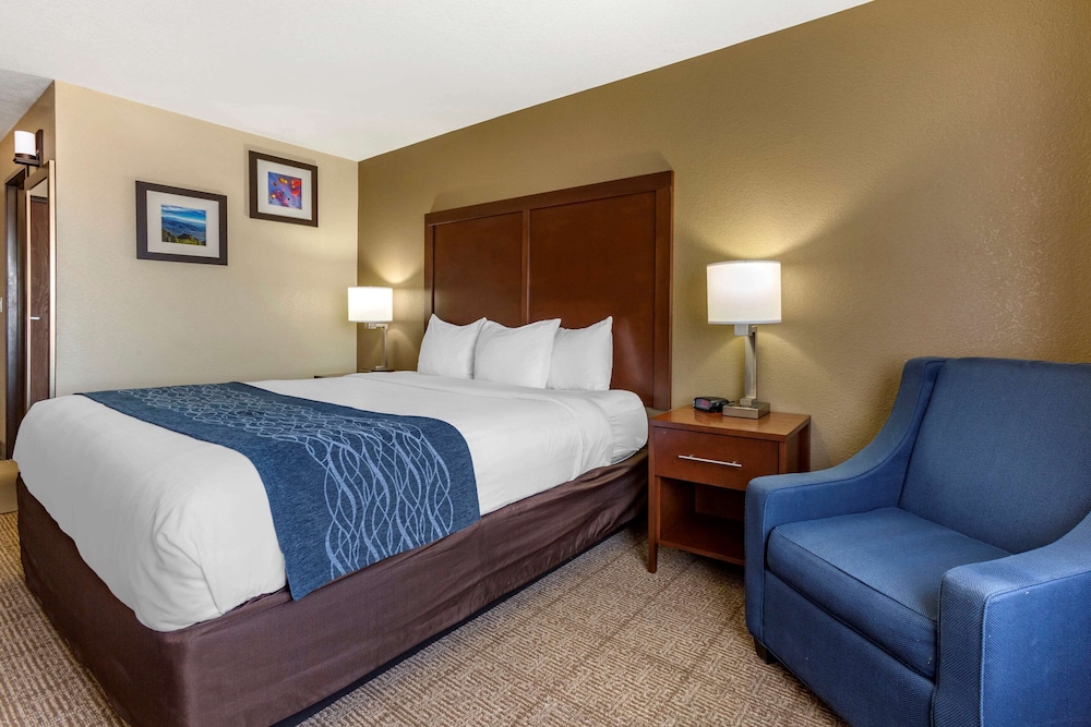 ROOM, KING BED, ACCESSIBLE