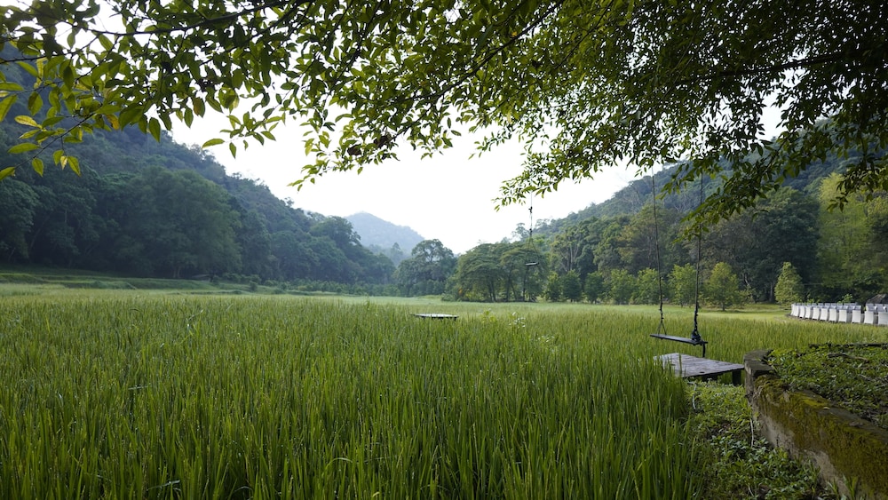Ella Jungle Resort 19/37