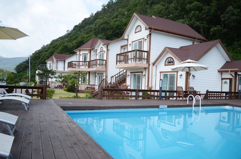 Forest Of Color Pension 3/50