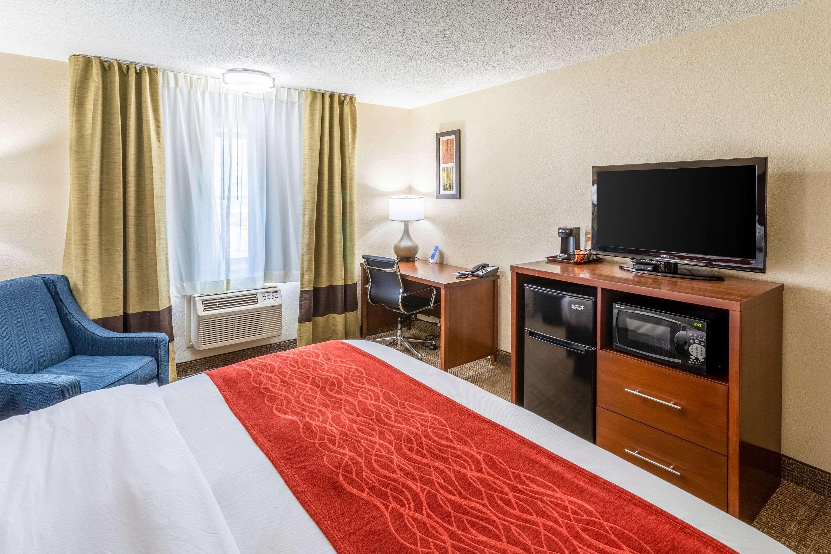 Room, King Bed