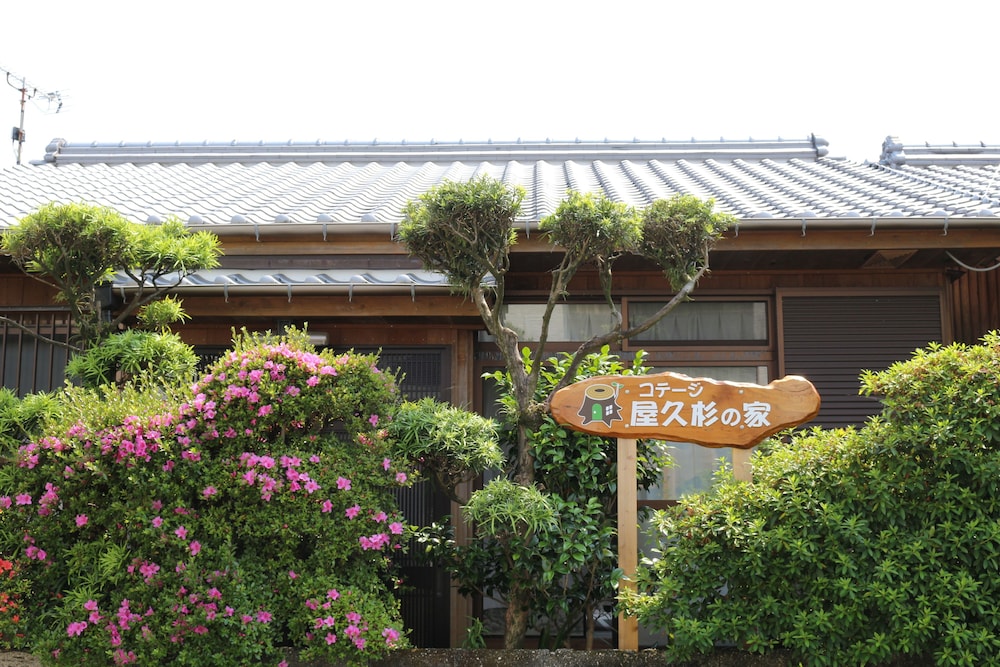 Yakusugi House 1/44