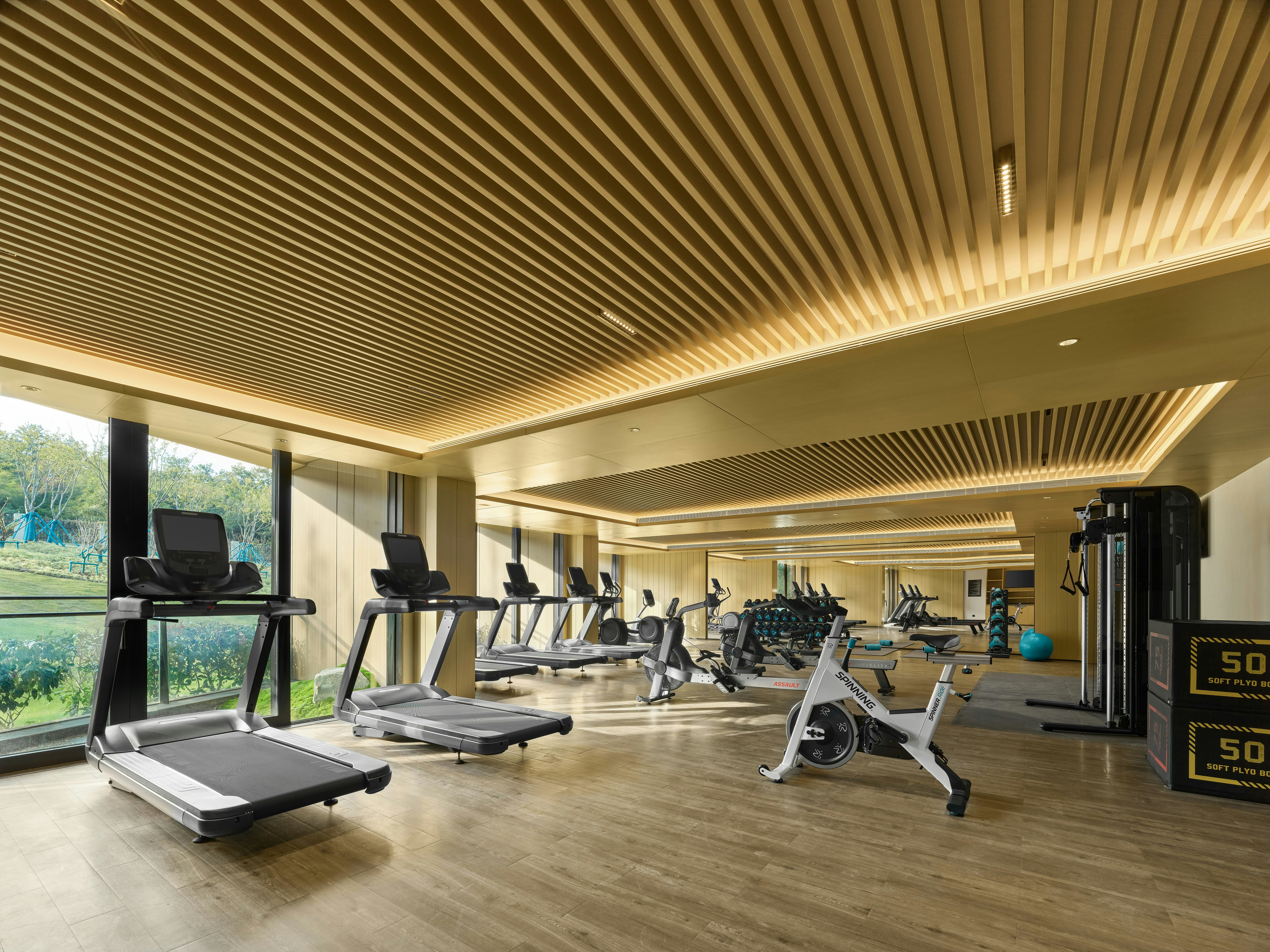 Hilton Nanjing Niushoushan 18/41