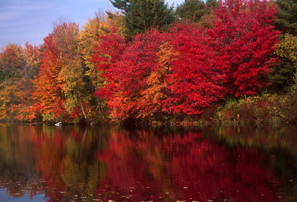 Manor On Golden Pond 43/53