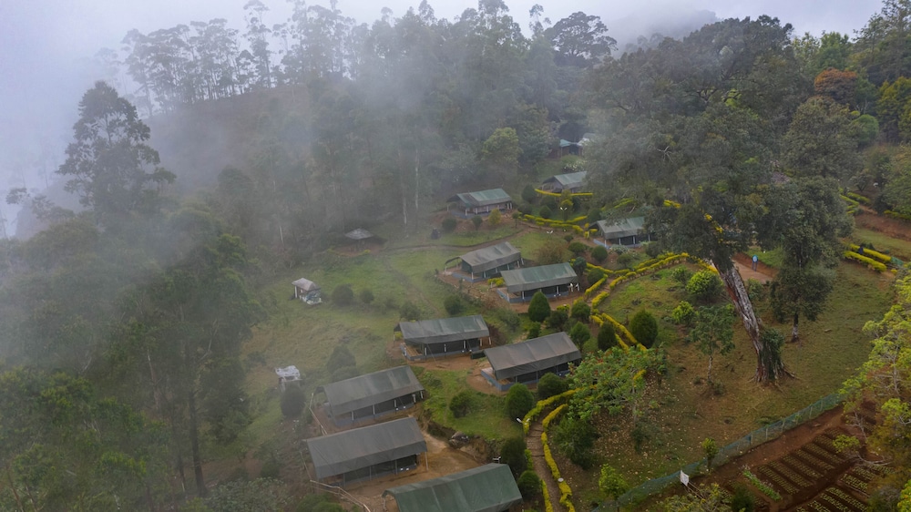 Nature Zone Resort 33/42