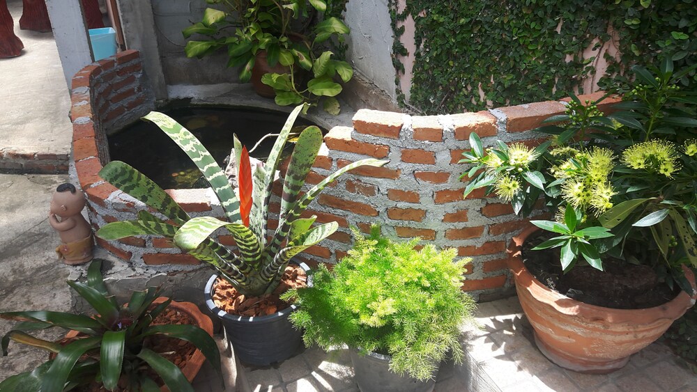 Canaan Guesthouse photo4