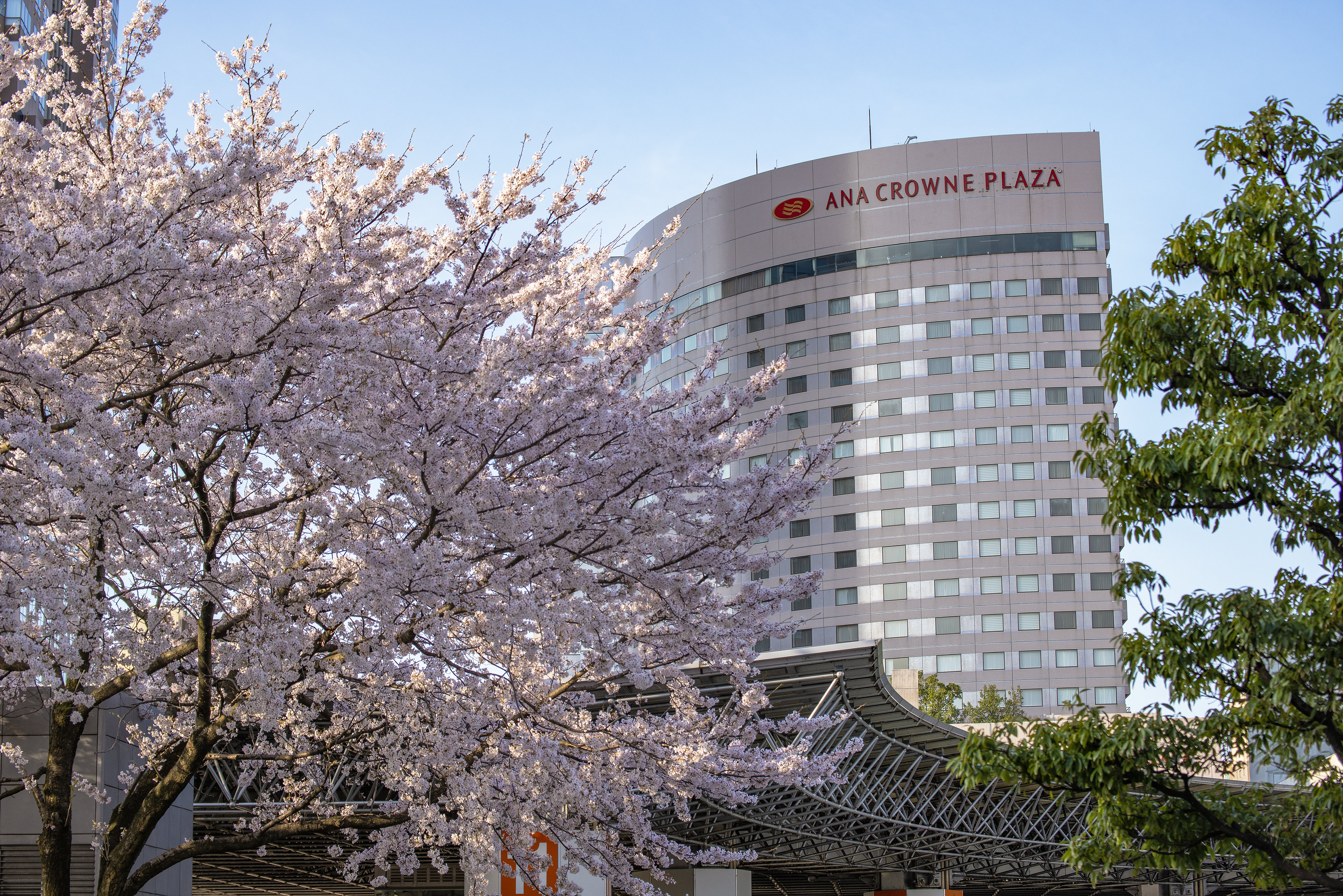 Ana Crowne Plaza Hotel Kanazawa 1/67