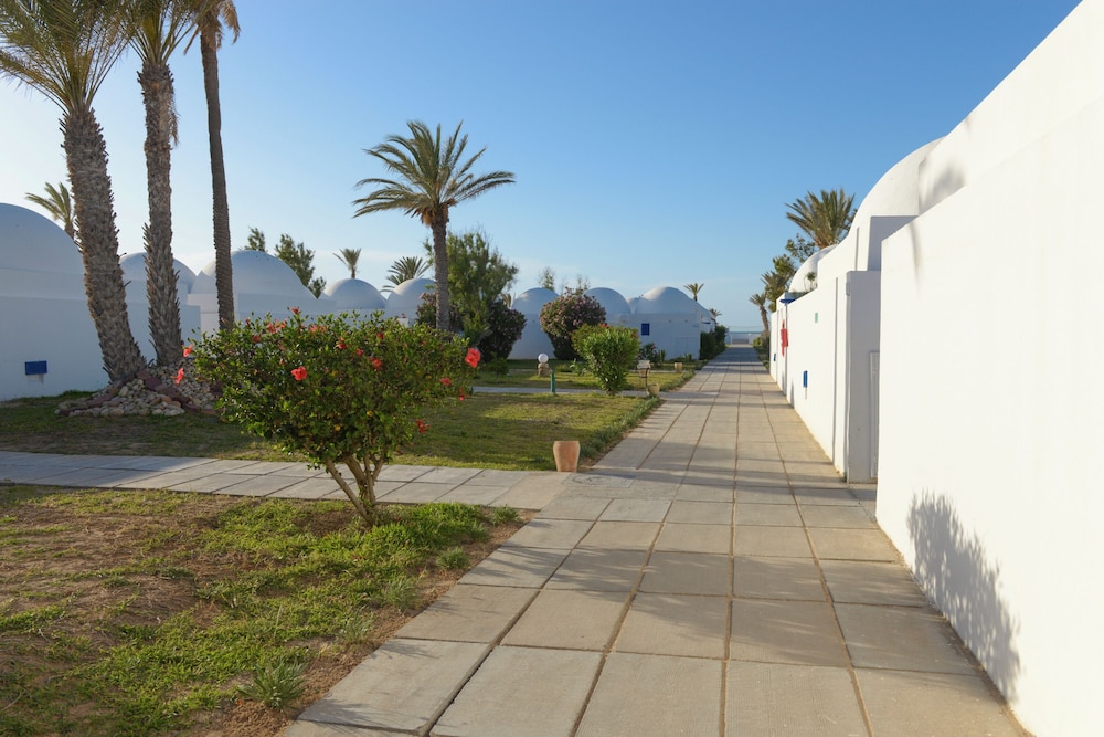 Monarque Dar Jerba Zahra 49/58