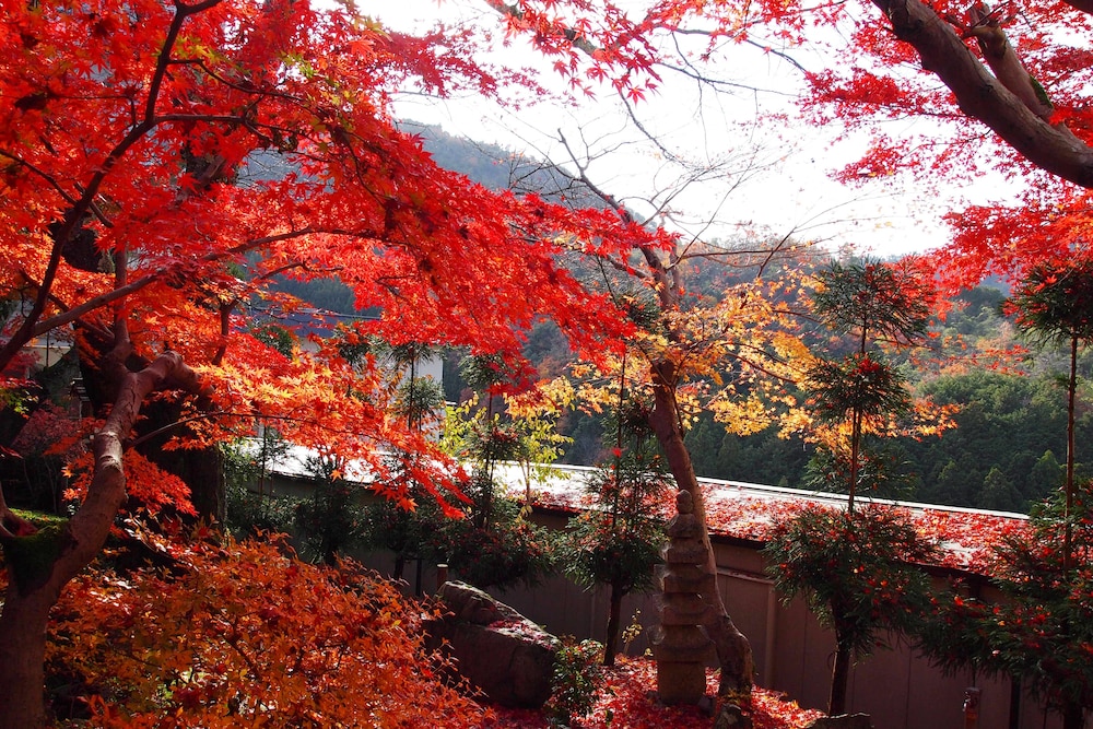 Ryokan Nenrinbo 41/50