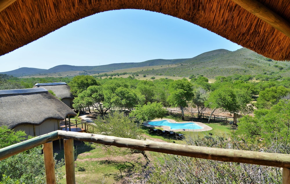 Garden Route Safari Camp 41/50