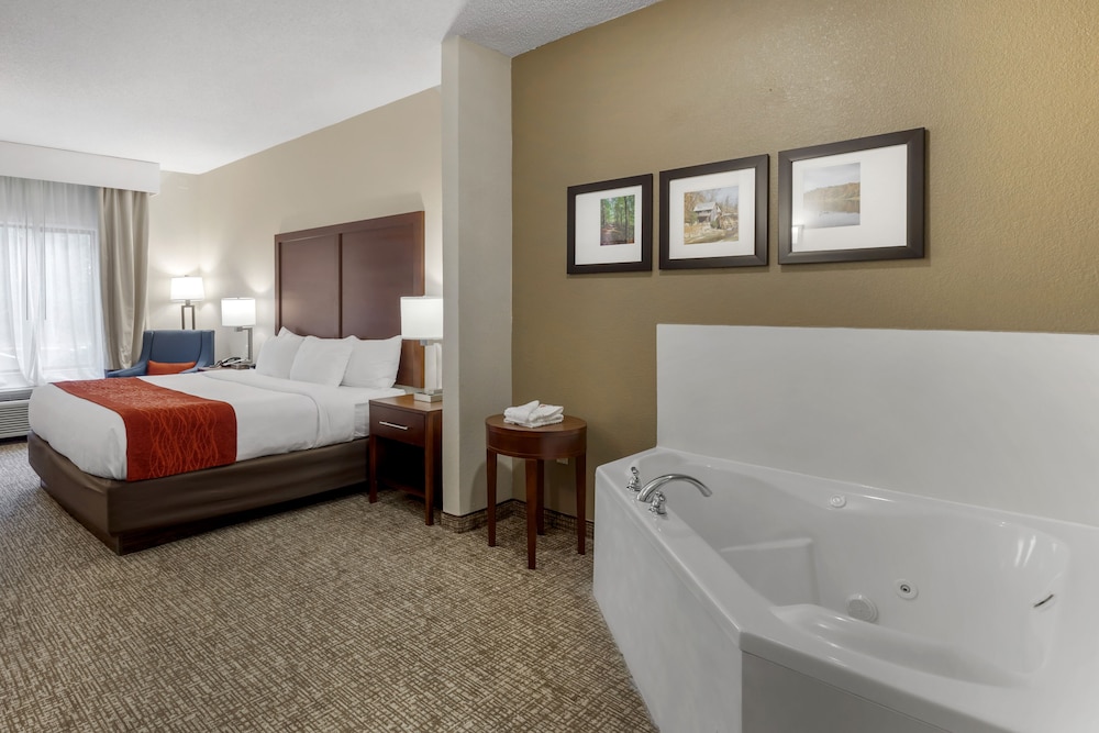 Comfort Inn & Suites Canton Riverstone Area 15/30