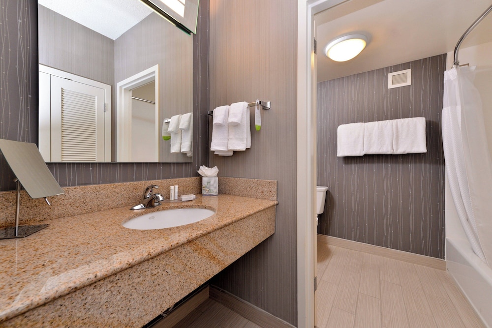 1 Bedroom, Suite