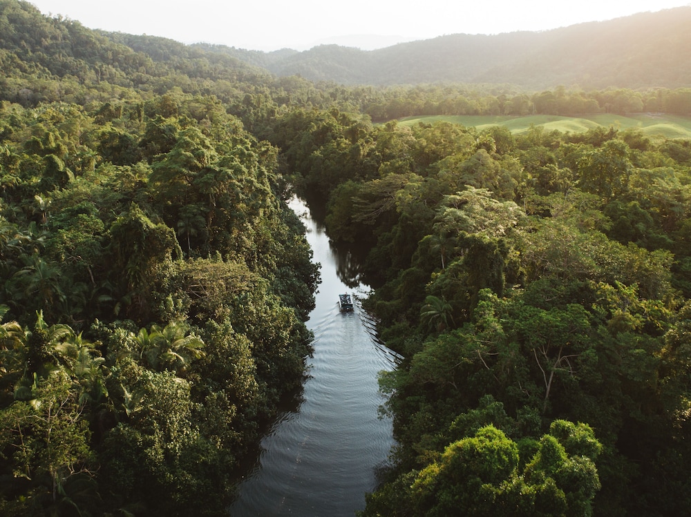 Daintree Ecolodge 44/50
